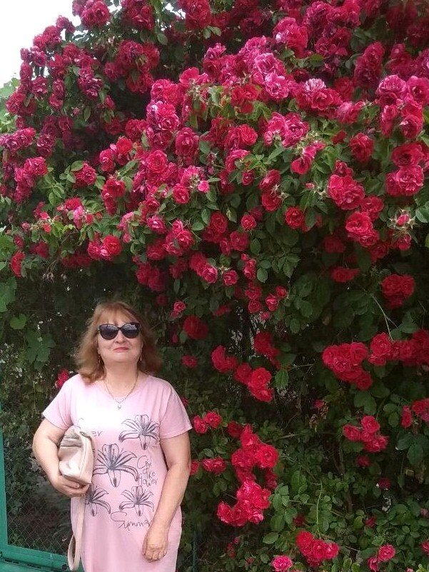 Світлая (Світлана Пирогова) :: Ламбрекени троянд